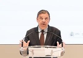 Luis Planas aclara que la peste porcina no afecta a humanos y buscará limitar «al máximo» el impacto