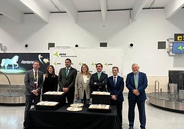 La aerolínea Binter aterriza en Sevilla como «la alternativa a las compañías lowcost»