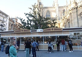 ¿Vas a visitar Sevilla en el puente de diciembre? Claves sobre seguridad, el tiempo, cómo llegar al centro y planes