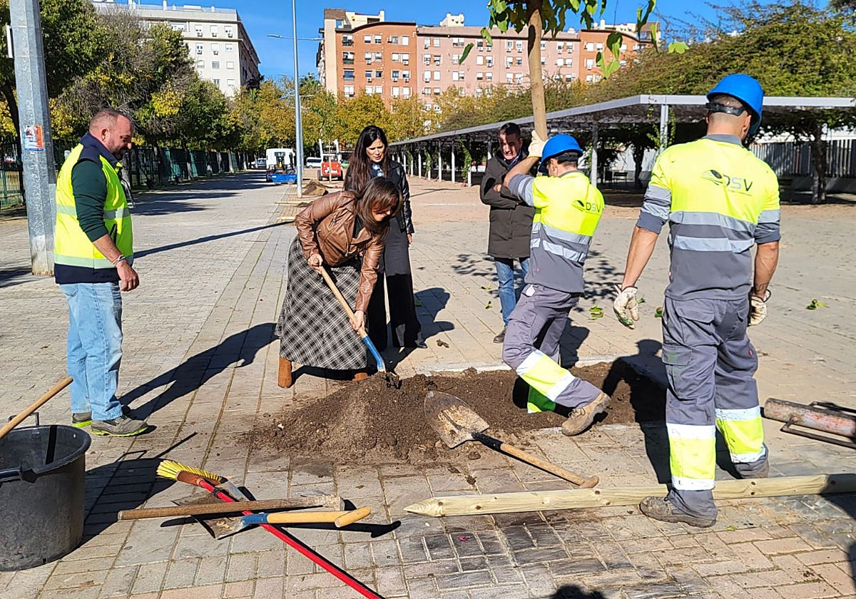 La delegada Evelia Rincón colabora en labores relativas a la plantación de árboles en Sevilla