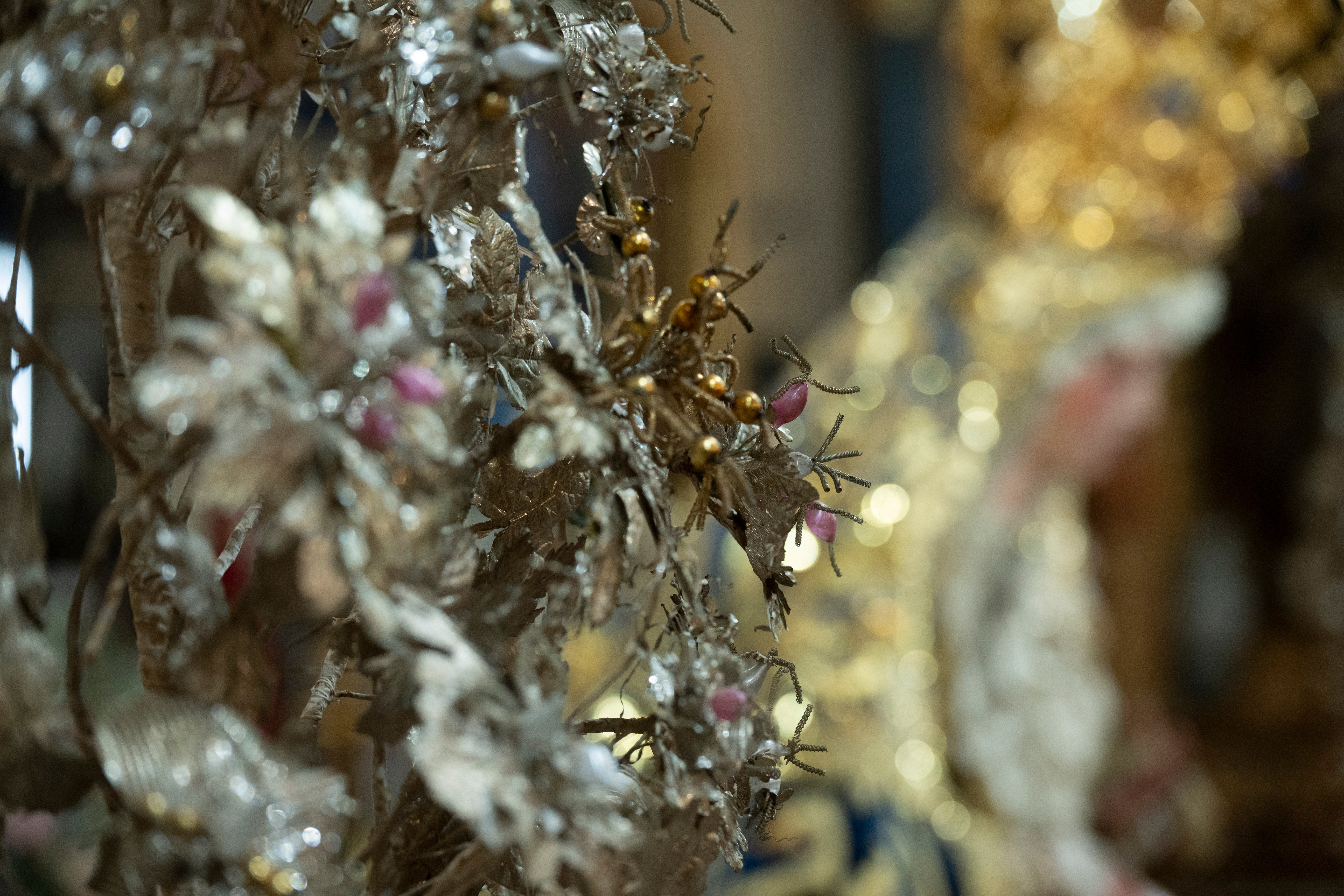 Los besamanos de la Inmaculada (I)