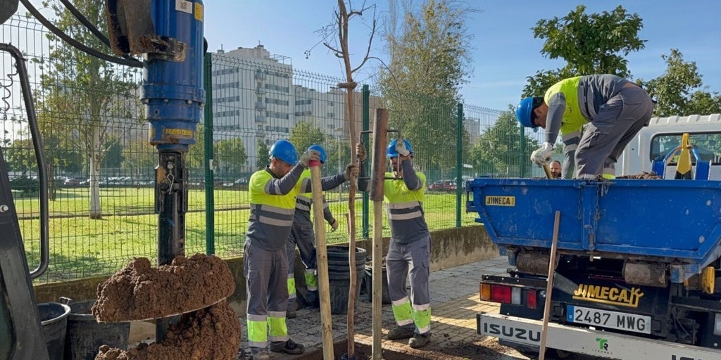 El Ayuntamiento de Sevilla inicia la plantación de 767 nuevos árboles en el distrito Este-Alcosa-Torreblanca