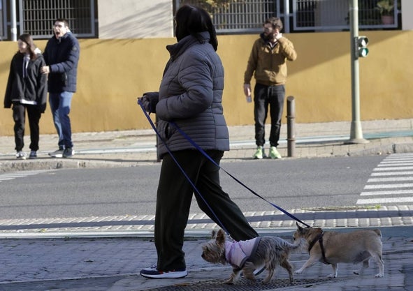 Imagem secundária 1 - Desde 2020, a província de Sevilha apresenta um crescimento vegetativo negativo, ou seja, há mais mortes do que recém-nascidos.