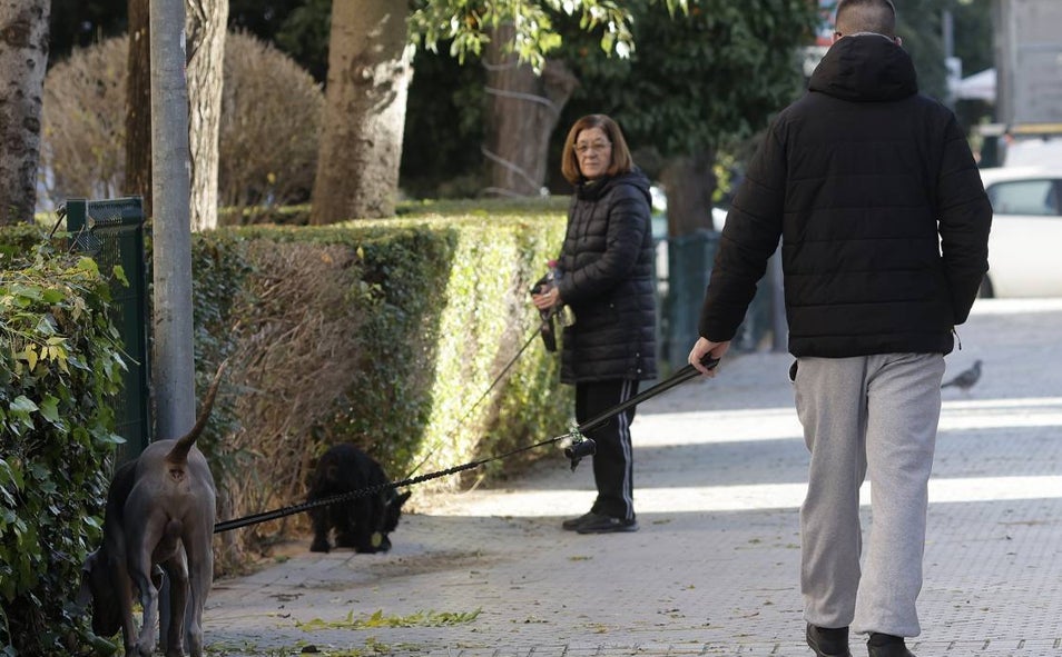 Imagem principal - Desde 2020, a província de Sevilha apresenta uma taxa de crescimento vegetativo negativa, o que significa que há mais mortes do que recém-nascidos.