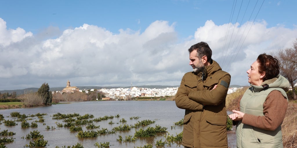 El olivar cordobés es el cultivo más afectado por los temporales en Andalucía