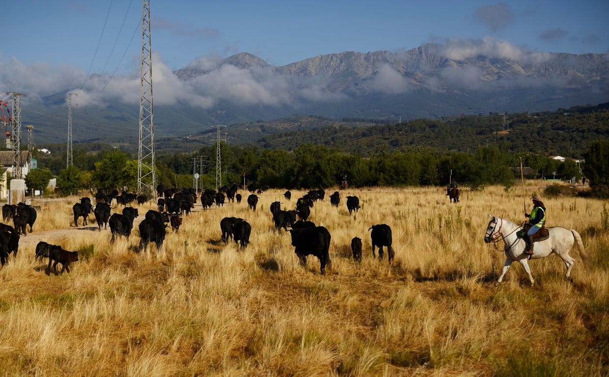Nómadas en el siglo XXI: el viaje de los últimos trashumantes a pie