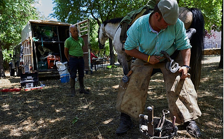 Imagen principal - Los ganaderos paran a mediodía para evitar el calor y revisar a los animales 