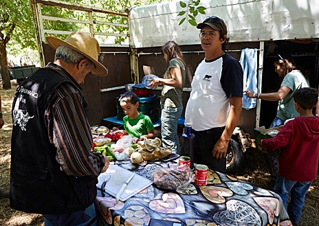 Imagen secundaria 1 - Los ganaderos paran a mediodía para evitar el calor y revisar a los animales 