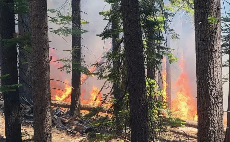 Un incendio en Yosemite, California, pone en peligro a sus centenarias secuoyas