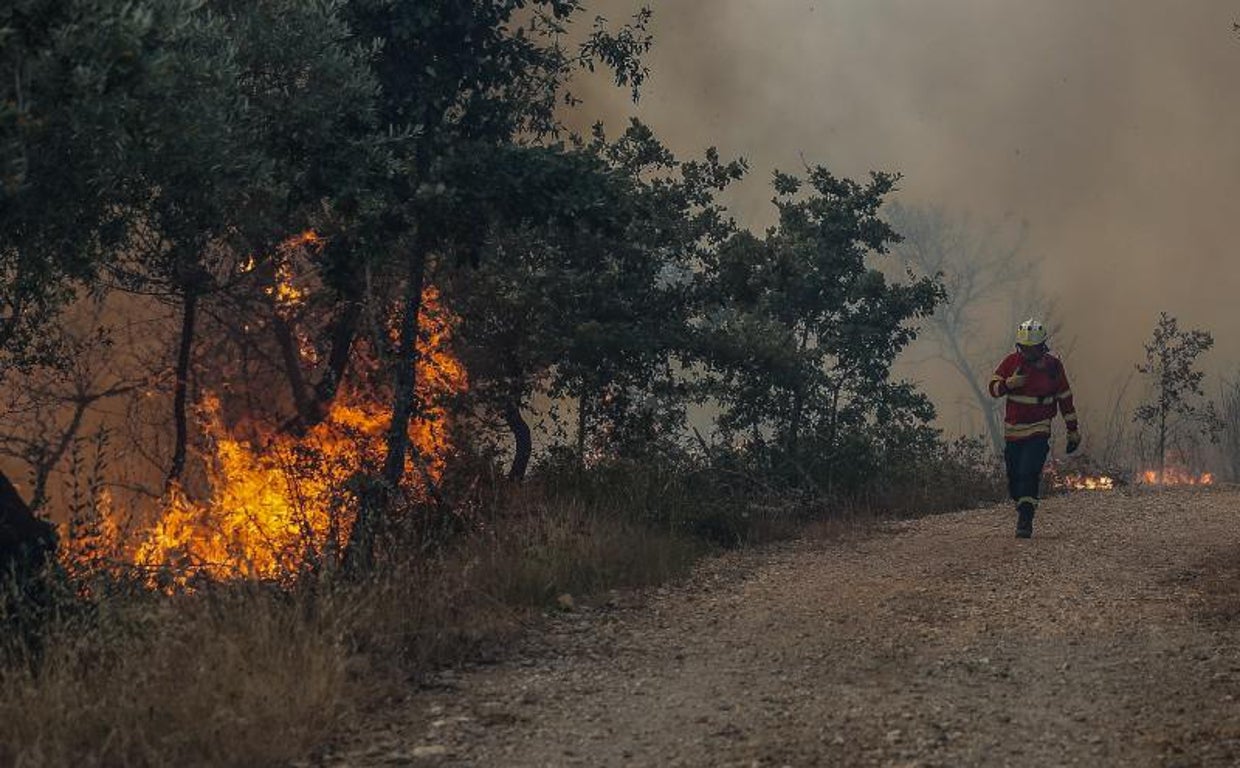 Incendio forestal en el norte de Portugal