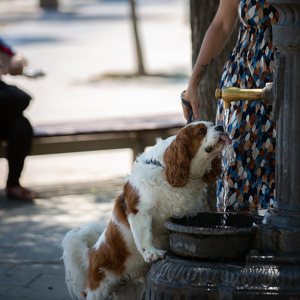 Mapa de temperaturas por provincias para el fin de semana 