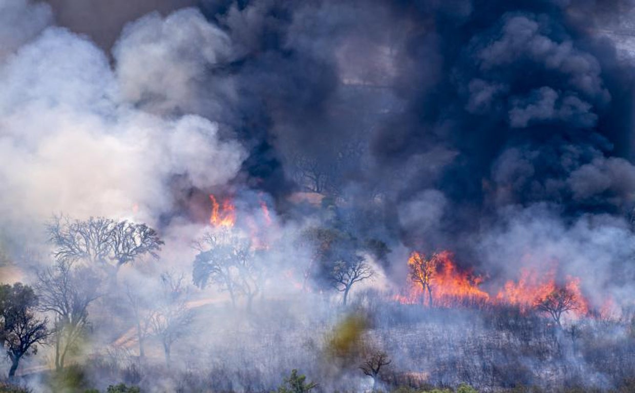 Incendio en el Parque Nacional de Monfragüe, en el municipio de Deleitosa (Cáceres)