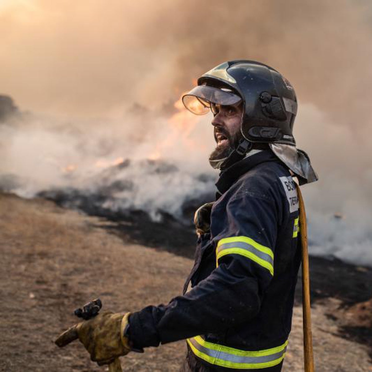 «El operativo de incendios en Castilla y León es patético, anacrónico e ilegal»