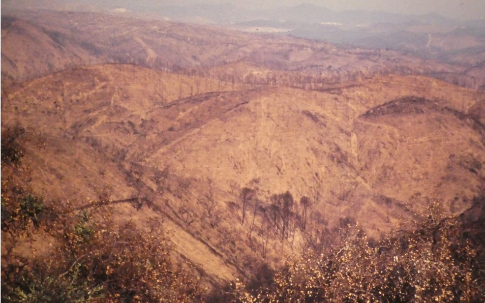 Imagen antes - El entorno de Berrocal, tras el fuego y 18 años después