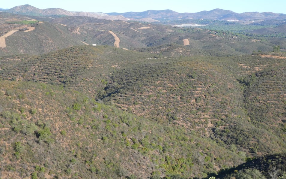 Imagen después - El entorno de Berrocal, tras el fuego y 18 años después