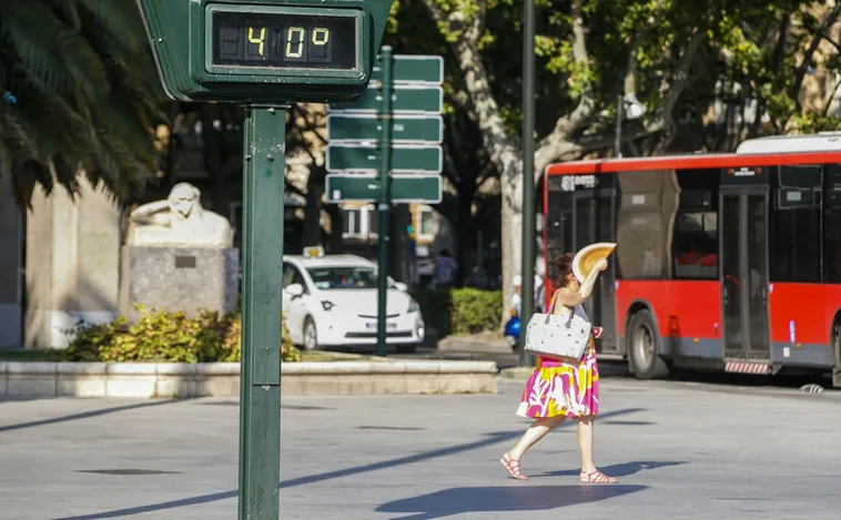 La OMS cifra en 1.700 las muertes en España y Portugal este año por ola de calor