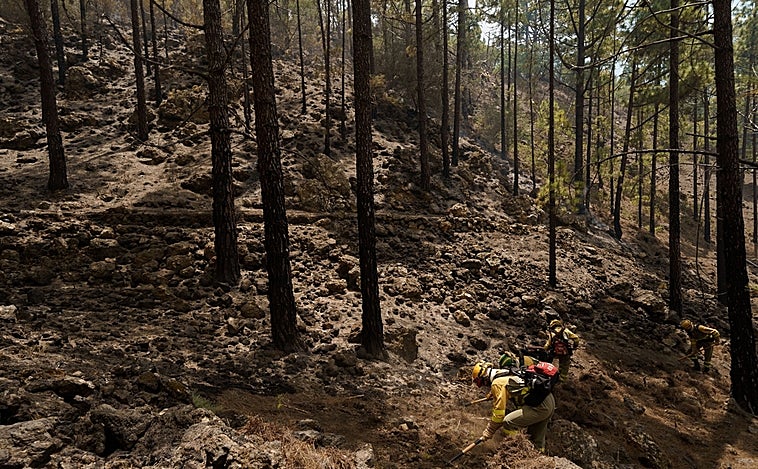 El incendio de Tenerife empeora durante la noche y arrasa ya casi 2.000 hectáreas