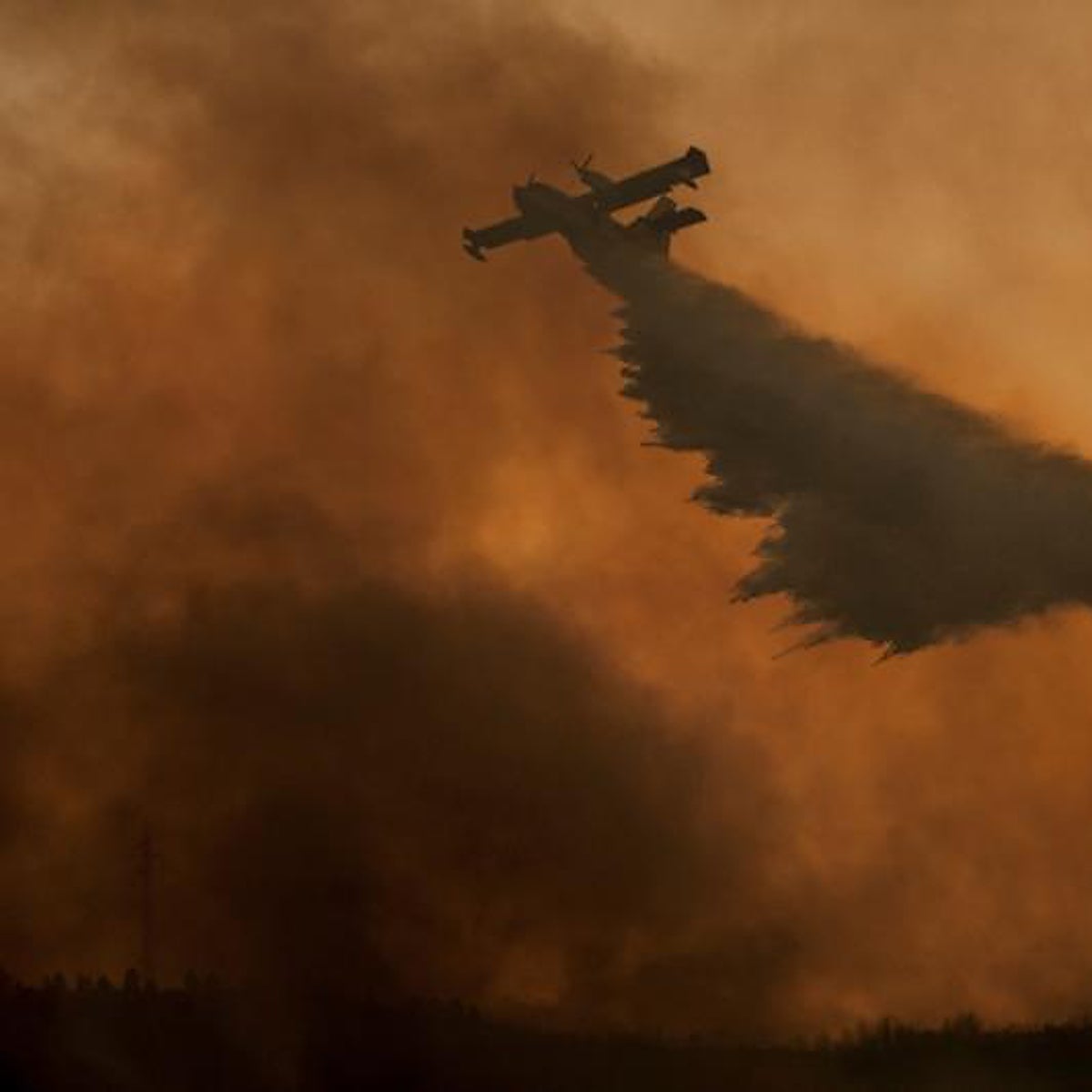 «Desde el aire hemos llegado a ver 'gracias' escrito en la arena»