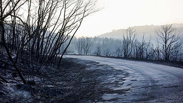 Así han amanecido esta mañana los alrededores de Verín