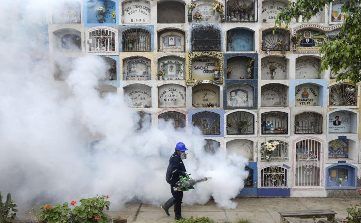 Un especialista fumiga un cementerio en Lima para reducir el riesgo de Zika