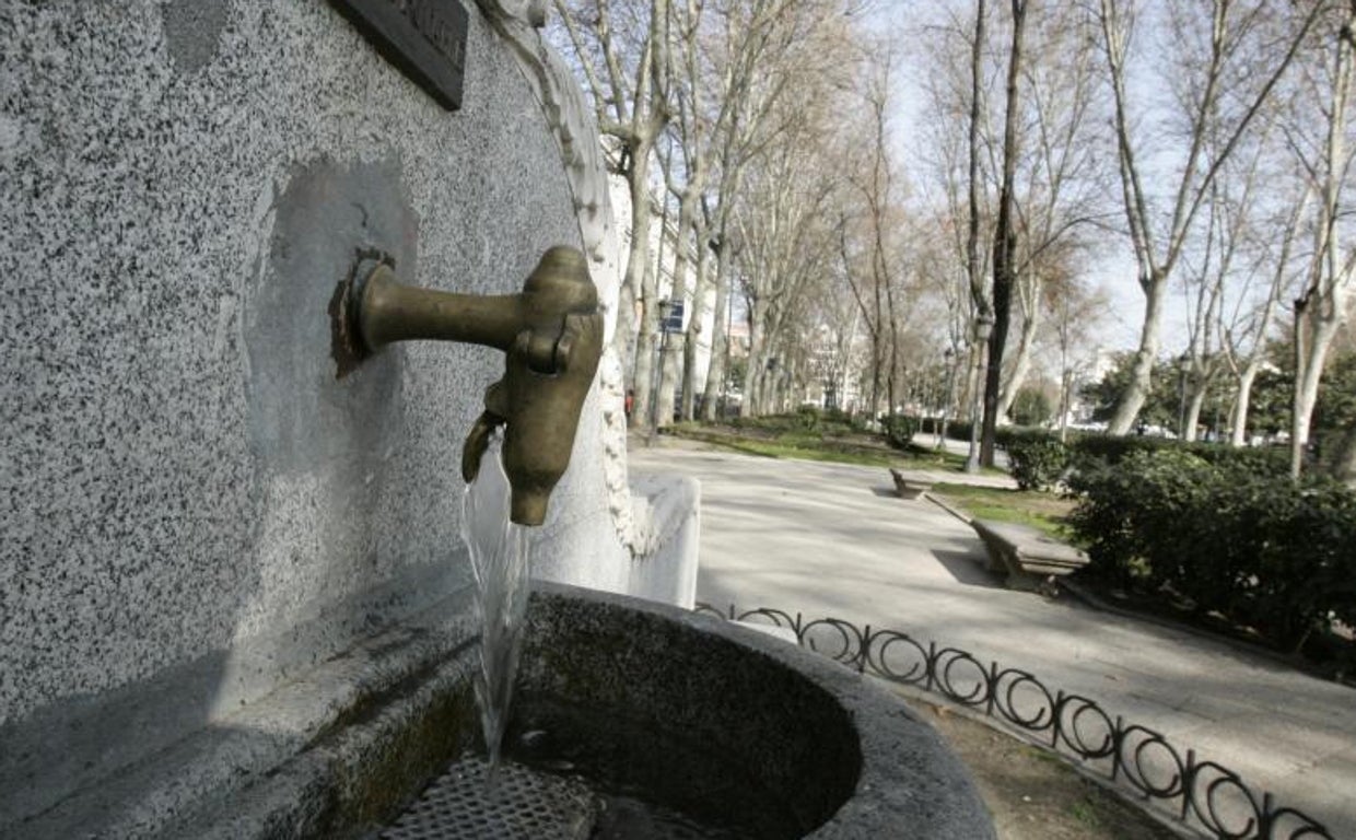 La legionela puede aparecer en torres de refrigeración, bañeras de hidromasaje, fuentes ornamentales o túneles de lavado