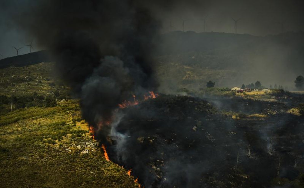 Las llamas consumen la vegetación  durante un incendio forestal en Linhares da Beira, al norte de Portugal