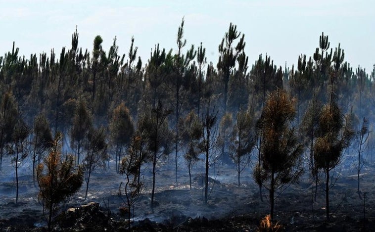 Los incendios de Francia no dan tregua: «No he visto nada parecido»