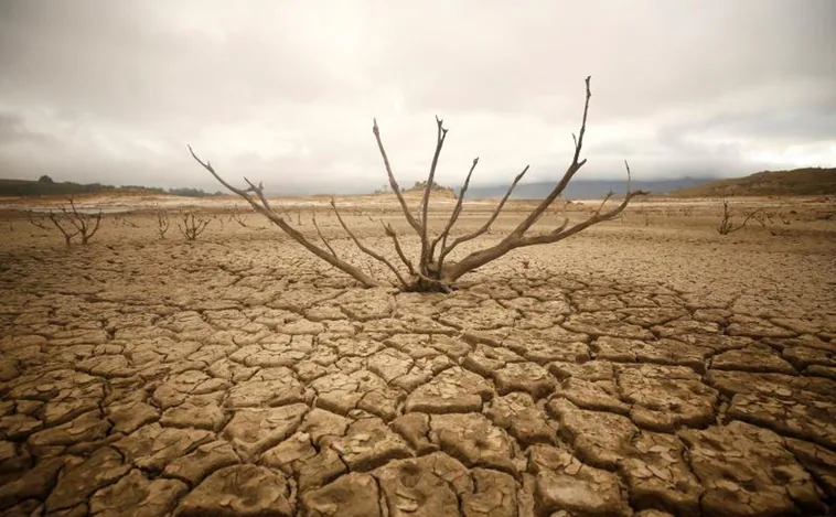 UNICEF alerta de que los niños en África están en riesgo de morir en «cantidades devastadoras» por la sequía