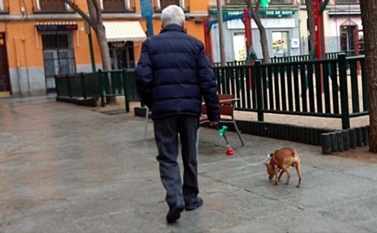 Estos son los beneficios de tener una mascota de una persona con alzhéimer