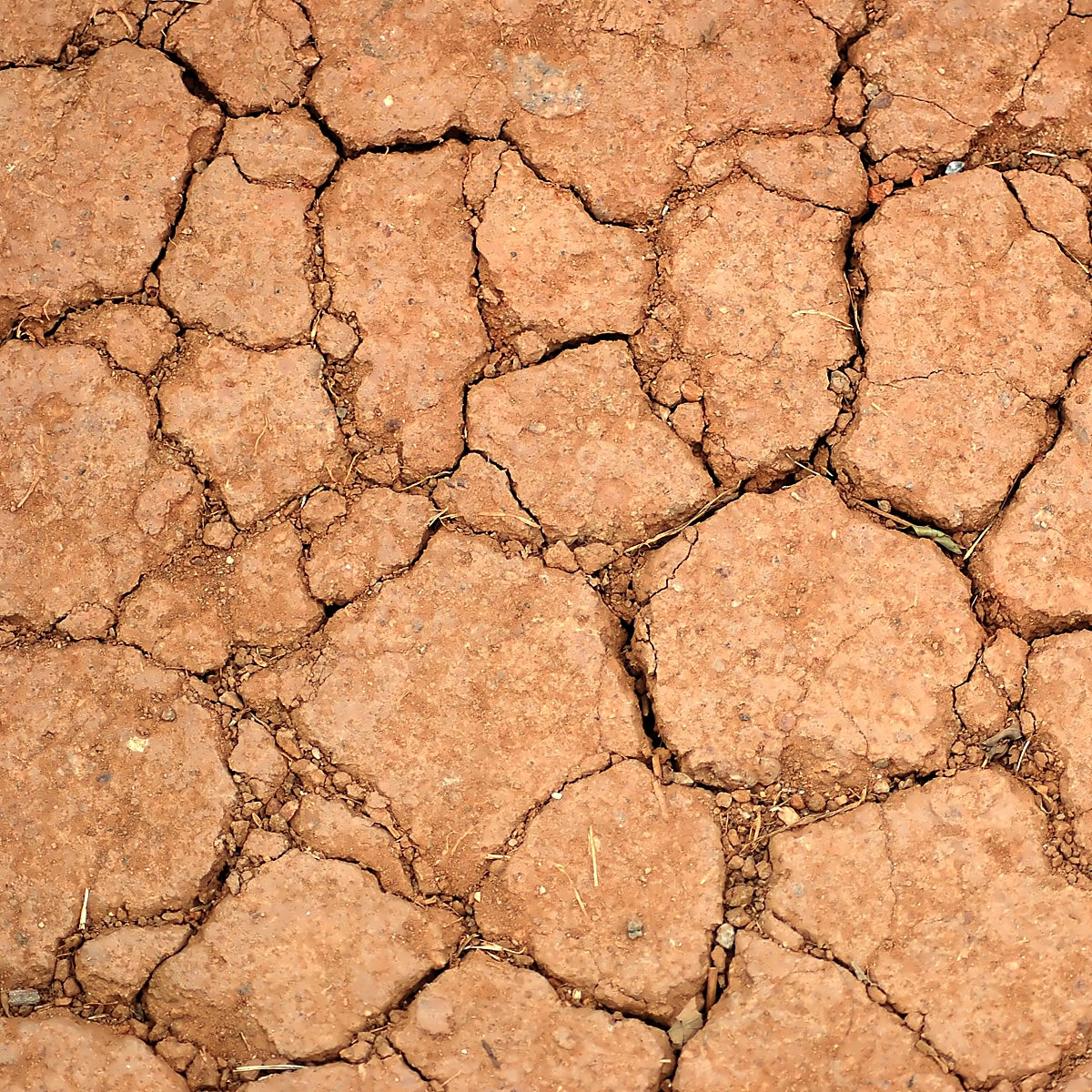 El año hidrológico termina entre los tres más secos en España en 60 años, con un 26% menos de lluvia de lo normal