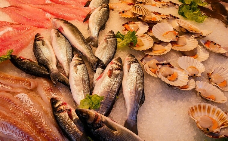 Estos son los pescados más seguros para consumir por sus bajos niveles de mercurio