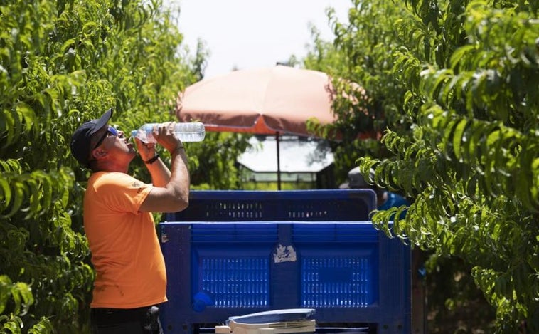 Las olas de calor provocadas por el cambio climático han costado billones a la economía mundial desde 1990