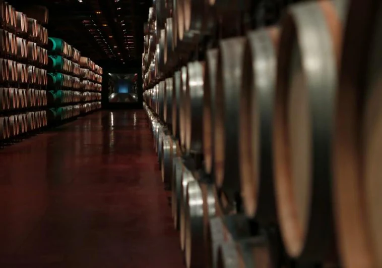 Novedades en el etiquetado del vino: pictogramas y advertencias contra el consumo excesivo