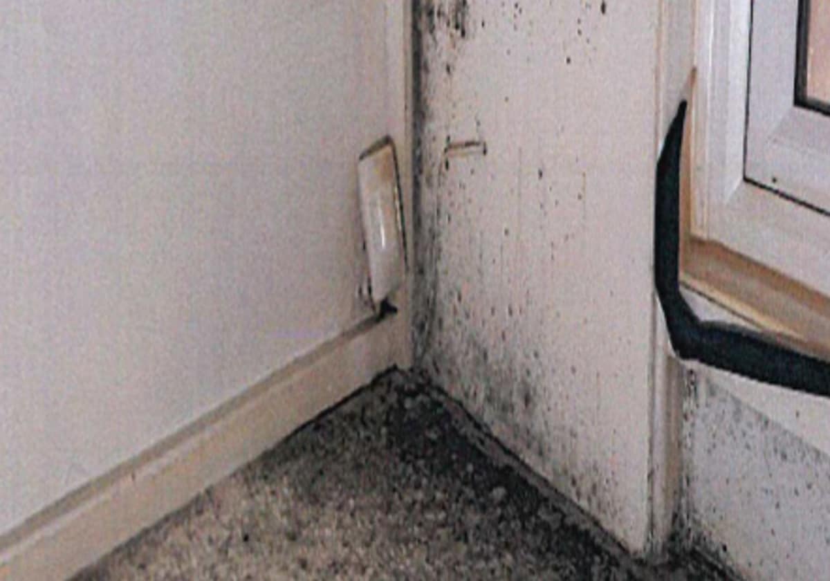 A two-year-old boy dies after being exposed to mold in his home since birth