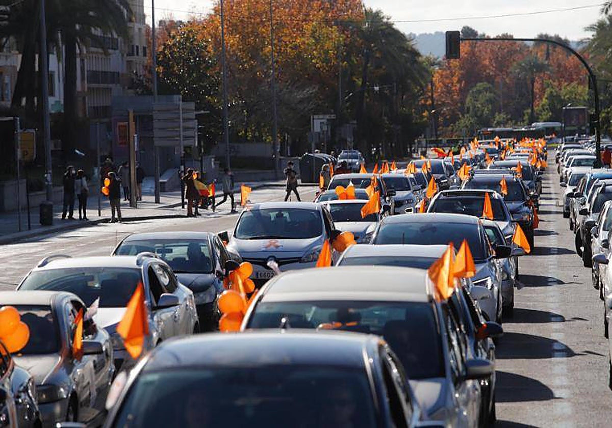 Marcha contra la 'ley Celaá' durante la pandemia