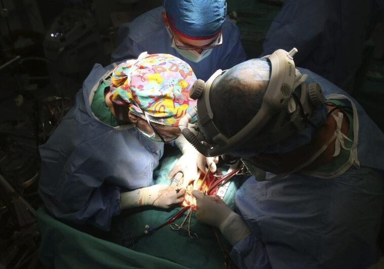 España trasplantó a 135 pacientes los órganos de 49 fallecidos por eutanasia
