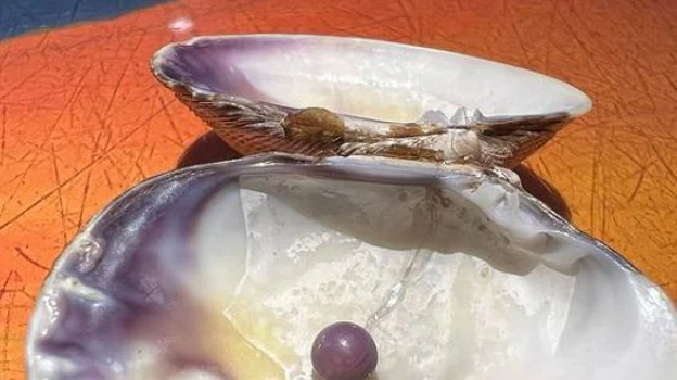 Fotografía de la perla encontrada en la almeja
