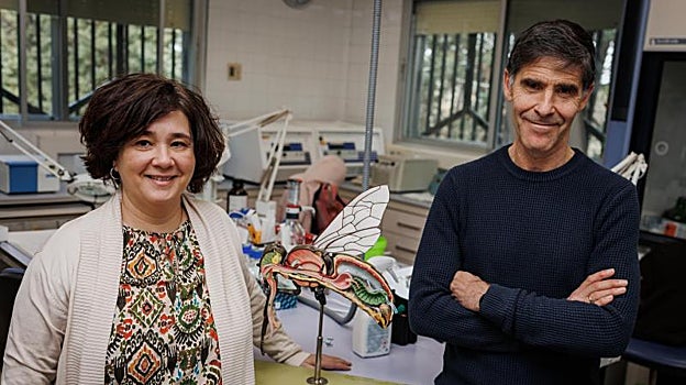 Los dos doctores en Veterinaria Raquel Martín-Hernández y Mariano Higes, en el laboratorio apícola de Marchamalo