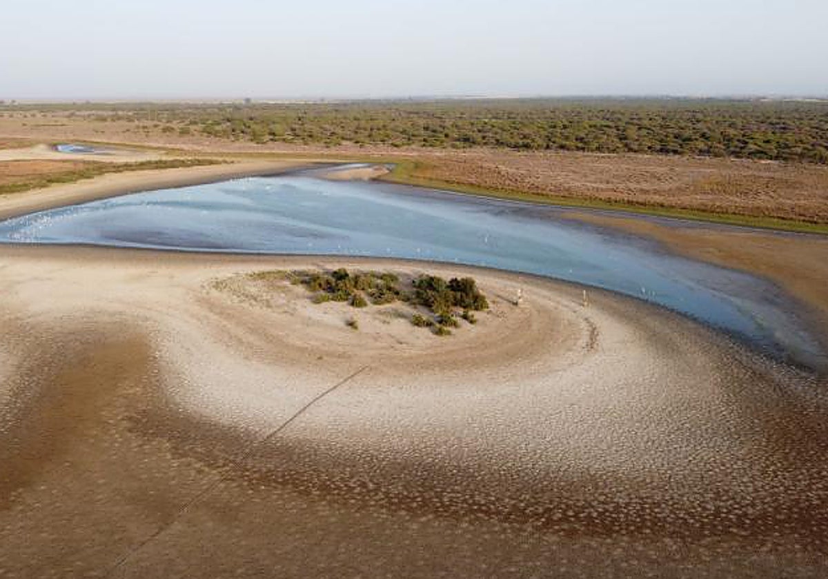 La laguna de Santa Olalla en el Parque Natural de Doñana, a principios de agosto
