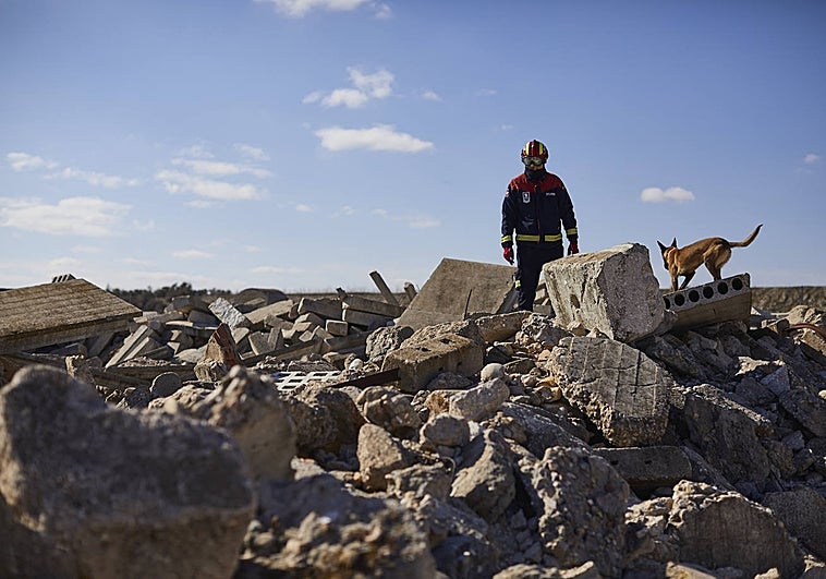 Guías voluntarios y pruebas semanales entre escombros: así se entrenan los héroes caninos del terremoto de Turquía