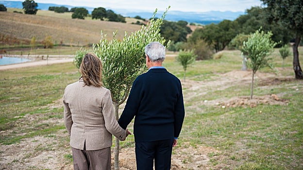 Árboles con cenizas en urnas biodegradables en Recordarium