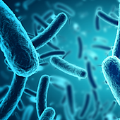 Qué es el botulismo: tipos, síntomas y gravedad