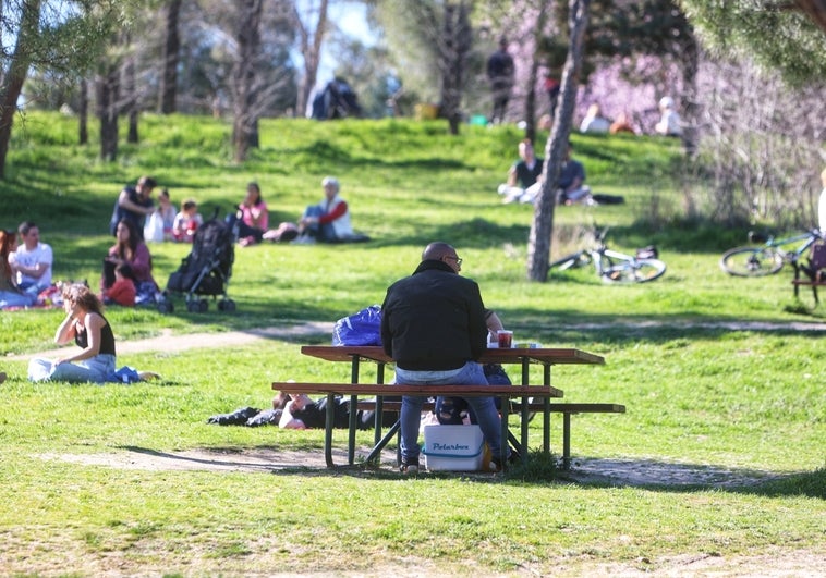 Qué tiempo hará esta primavera: esta es la predicción de la Aemet para la nueva estación