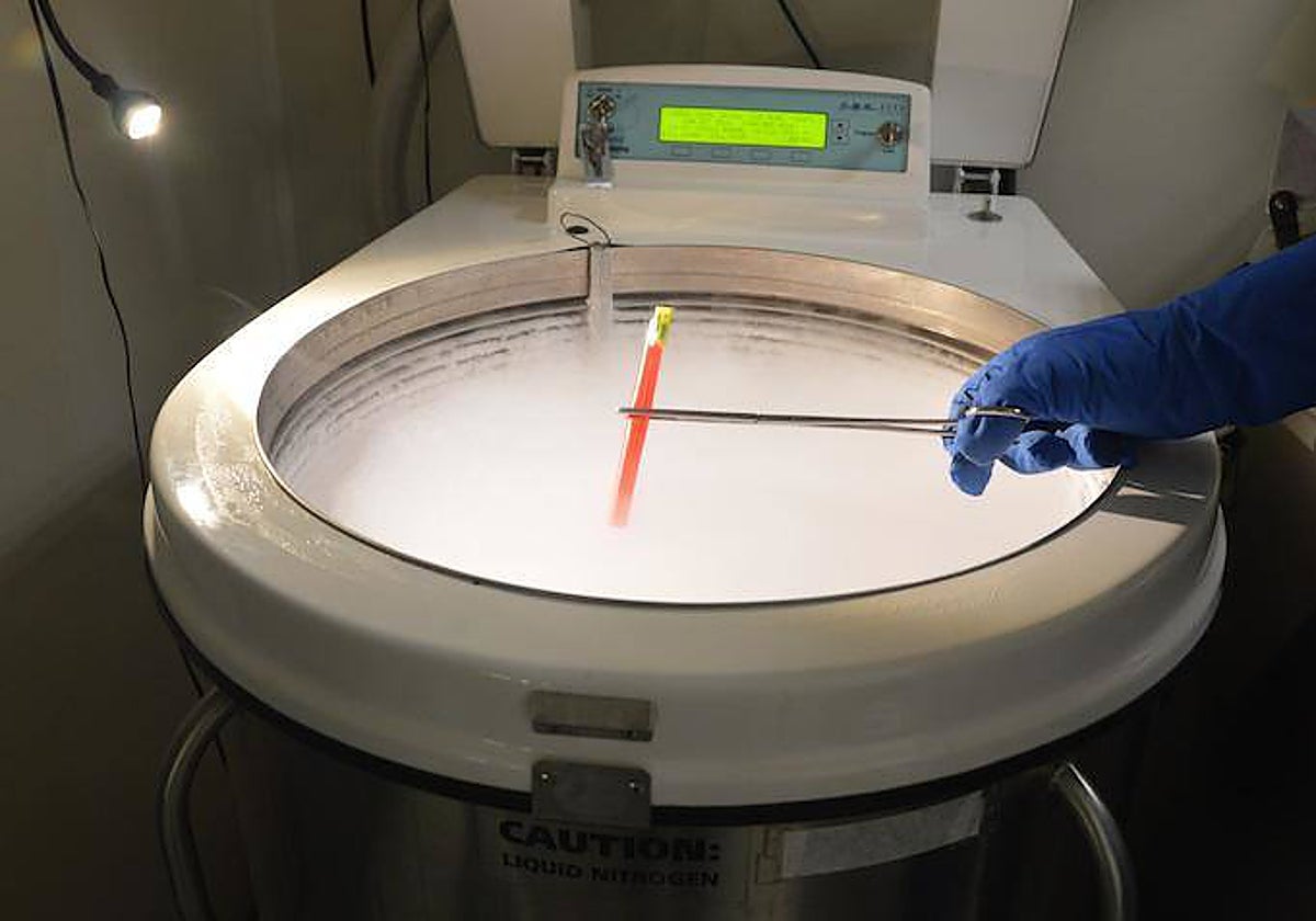 Dos años después de un tratamiento de fertilidad, descubre que el esperma utilizado no era del padre