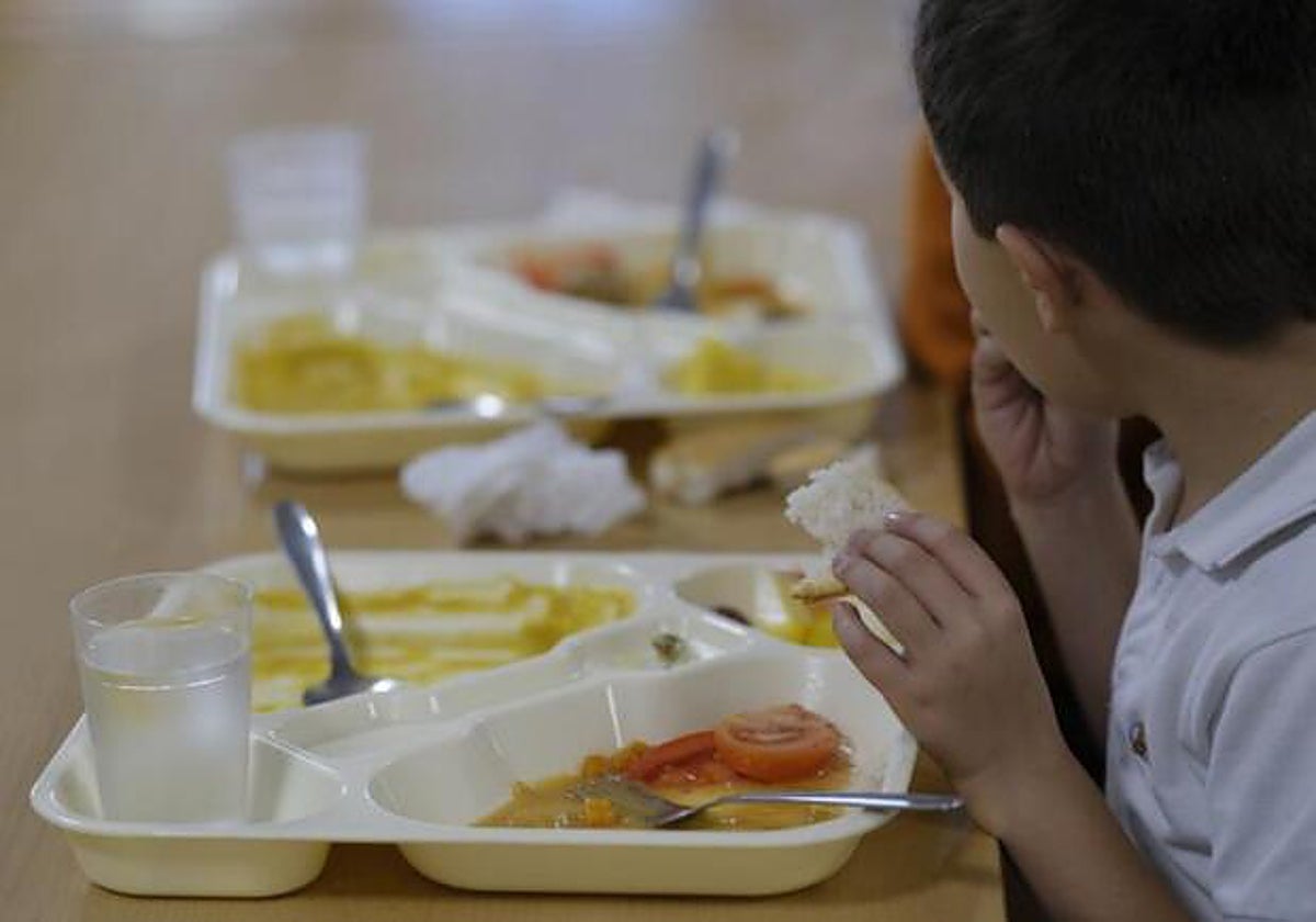 Becas y ayudas para alumnos con necesidad específica de apoyo educativo