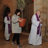 La Iglesia pide perdón por los abusos: «Esto no cierra nada»