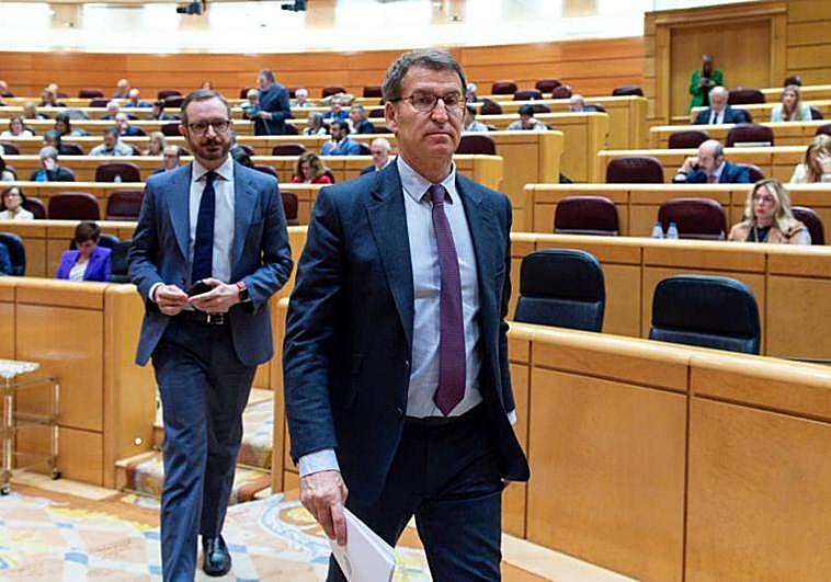 El PP se abre a regular la gestación subrogada si no hay pagos de por medio