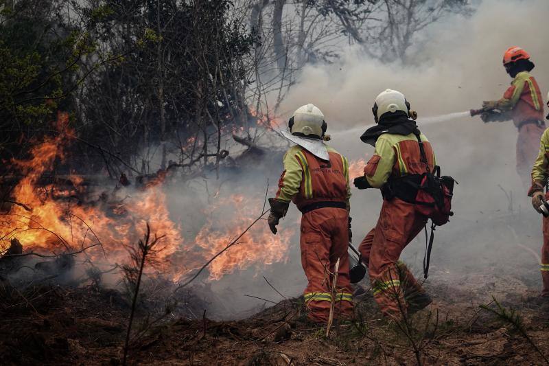 Asturias contabiliza 116 incendios forestales en 35 concejos y varias zonas el monte Naranco en Oviedo