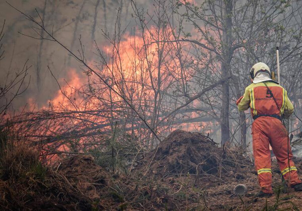 Un bombero asturiano durante las labores de extinción del incendio de los concejos de Valdés y Tineo