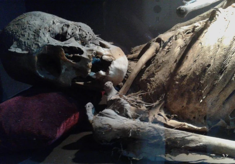 Expertos advierten de la presencia de «hongos» y «riesgo biológico» en la exposición de momias de Guanajuato